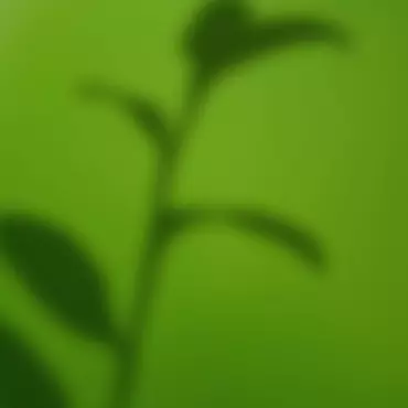 title=